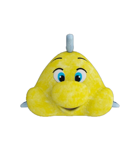 360° Görüntü